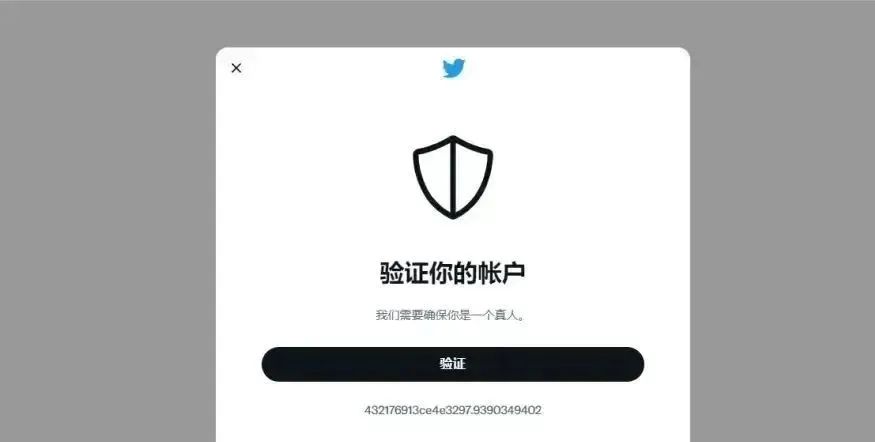 图片[6]-Twitter注册使用全指南攻略：掌握2023最新玩法！-巨量笔记