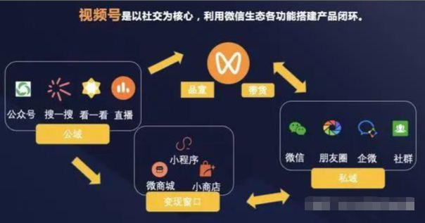 【干货】玩转视频号的全流程解析！-巨量笔记